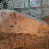 کفش مخصوص چمن|کیف، کفش، کمربند|مشهد, موعود|دیوار