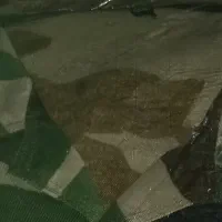 لباس پلنگی