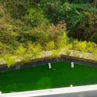 دونیای گرینوال دونیای چمن