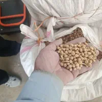 نخود|خوردنی و آشامیدنی|بیستون, |دیوار