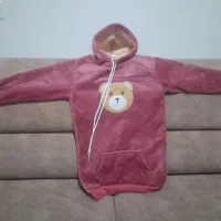 هودی تدی