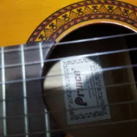 گیتار|گیتار، بیس، امپلیفایر|پرند, فاز ۴|دیوار