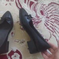 کفش نو واسم اوردن|کیف، کفش، کمربند|زابل, |دیوار