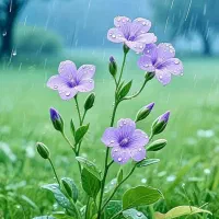 ثبت نوبت دکتر