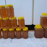 عسل کنار وچهل گیاه|خوردنی و آشامیدنی|خورموج, |دیوار