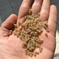 هاش عسلی روشن