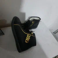 نیم پوتین|کیف، کفش، کمربند|سنقر, |دیوار