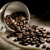 اجاره مغازه کافه