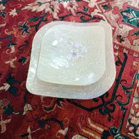 دیس دوتیکه پذیرایی