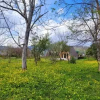 زمین مسکونی 10قصب سند تک برگ + پروانه