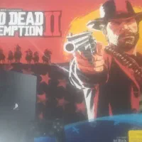 پی اس فور پرو