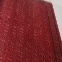قالی ترکمن قدیمی  عتیقه اصل