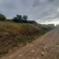 زمین فروشی در لوکیشن خوب