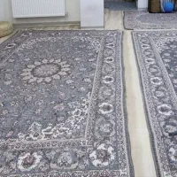 روفرشی یزد زرکدار ۶ متری دوتا