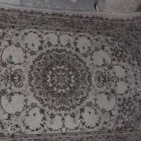 فرش|فرش|تهران, بهداشت|دیوار