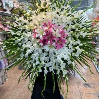 نیازمند همکار گلفروشی