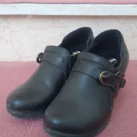 کفش مجلسی زنانه|کیف، کفش، کمربند|شاندیز, |دیوار