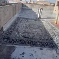 فرش ماشین|فرش|سهند, |دیوار