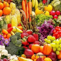 کارگر ساده نیازمندیم