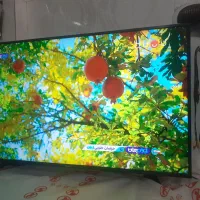 هایسنس ۵۵ اسمارت ایلیا الکترونیک پل گلیل