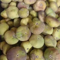 انجیر سیاه  و زرد درشت شیرین کیلو ۱۴۰