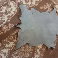 پوست بز|حیوانات مزرعه|اصفهان, شاهد|دیوار