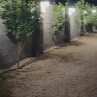 فروش-زمین-مسکونی-سرابننیز