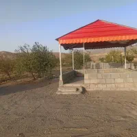 زمین باغی|فروش زمین و ملک کلنگی|مشهد, امام رضا (ع)|دیوار