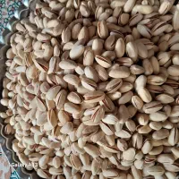 پسته ارگانیک احمد آقایی و اکبری|خوردنی و آشامیدنی|قم, منبع آب|دیوار