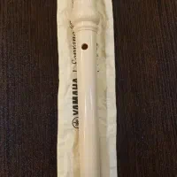 فلوت یاماهااصلی|سازهای بادی|اصفهان, بهارستان|دیوار