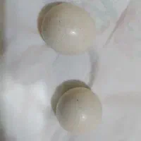 دوعددسنگ الماس اسیاب