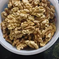 گردو تازه و خشک بذر کشور آذربایجان در الشتر