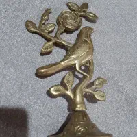 پرنده برنز تکی، روی شاخه ۱ عدد