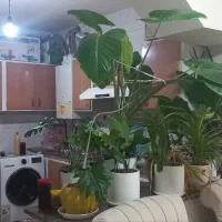 اپارتمان مسکن مهر سری اول