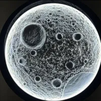 رنگین فروش جهزیه کادو|تابلو، نقاشی، عکس|مشهد, نظام دوست|دیوار