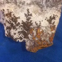 شجر تراش نخورده|جواهرات|تبریز, |دیوار