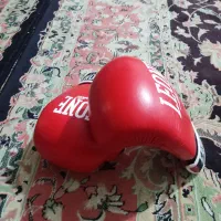 دستکش بوکس لیون هایکوپی