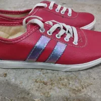 کفش نو|کیف، کفش، کمربند|ایذه, |دیوار