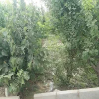 باغچه ۴۰۰متری|فروش خانه و ویلا|شهریار, اسکمان|دیوار