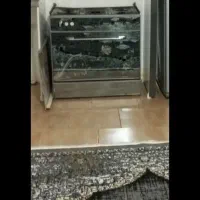 گاز و فرش فروش فوری