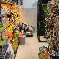 پت شاپ تام و جری ، دنیای کامل حیوانات خانگی شما|لوازم جانبی حیوانات|مشهد, الهیه|دیوار