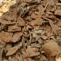 نان خشک دامی|لوازم جانبی حیوانات|رضویه, |دیوار