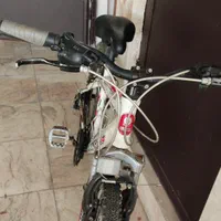 دوچرخه المپیا 24