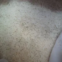 برنج|خوردنی و آشامیدنی|شهریار, رضی آباد بالا|دیوار