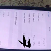 13 پرو 256|موبایل|تهران, تهرانسر شرقی|دیوار