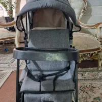 کالسکه دوقلو دلیجان