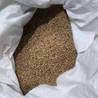 گندم و جو بذری|خدمات باغبانی و درختکاری|خزل, |دیوار