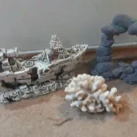 لوازم اکواریوم کشتی مرجان ...