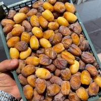 رطب عسلی جنوب ۲۹۵