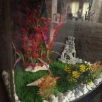 آکواریوم مشکی و چراغدار